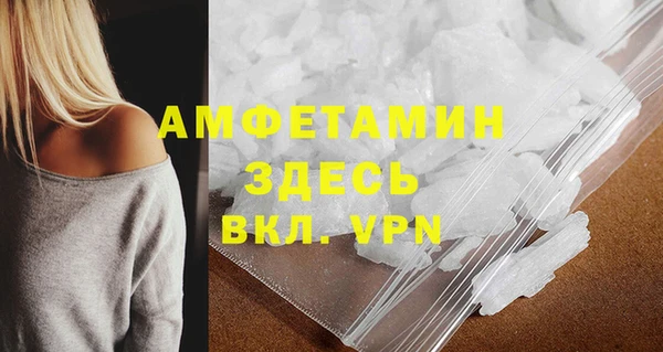 мяу мяу мука Гусь-Хрустальный