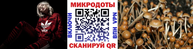 Псилоцибиновые грибы Magic Shrooms  Олёкминск 
